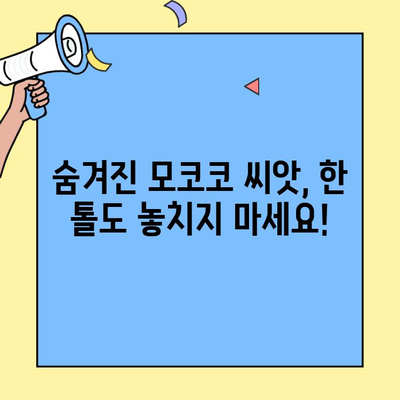 로스트아크 아르테미스 로그힐 모험의 서 & 모코코 씨앗 완벽 공략 (1/2) | 로스트아크, 모코코, 아르테미스, 로그힐, 모험의 서, 공략