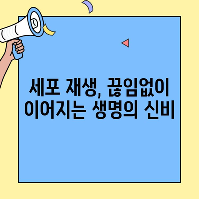 세포 재생의 비밀| 놀라운 원리와 과정 | 세포 재생, 자가 치유, 조직 재생, 줄기세포