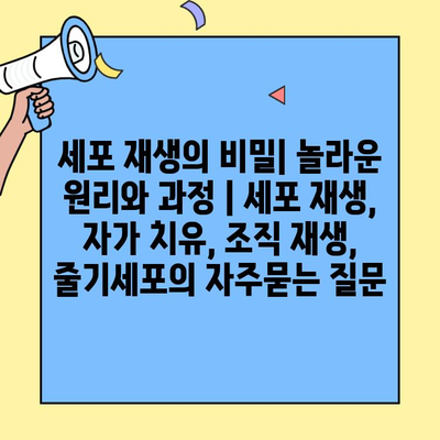 세포 재생의 비밀| 놀라운 원리와 과정 | 세포 재생, 자가 치유, 조직 재생, 줄기세포