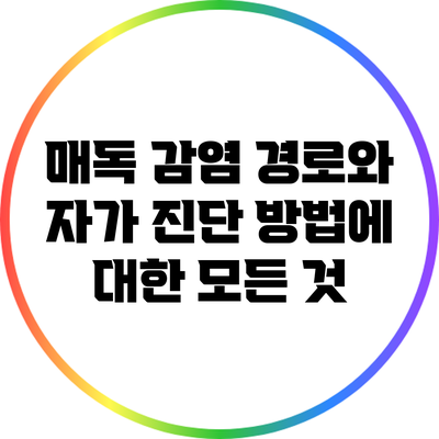 매독 감염 경로와 자가 진단 방법에 대한 모든 것