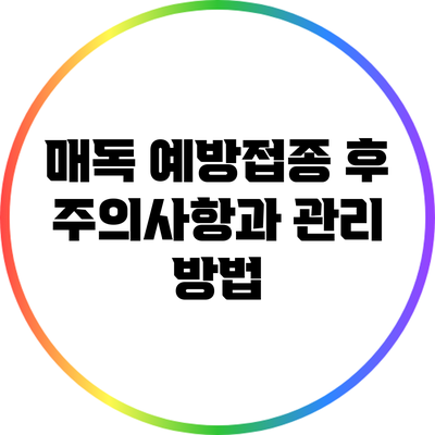 매독 예방접종 후 주의사항과 관리 방법