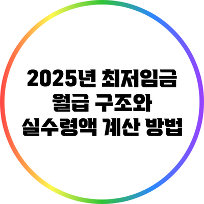 2025년 최저임금 월급 구조와 실수령액 계산 방법