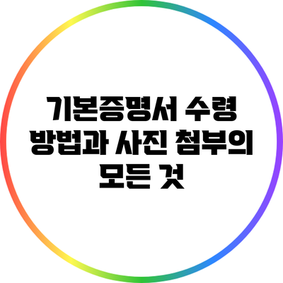 기본증명서 수령 방법과 사진 첨부의 모든 것