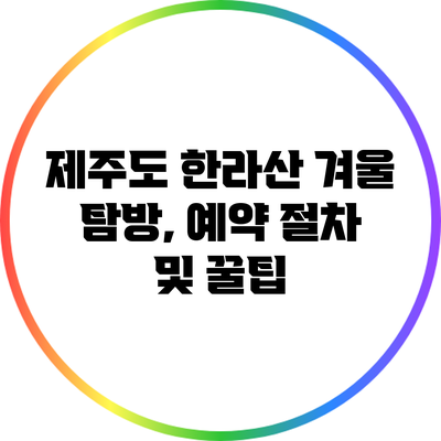 제주도 한라산 겨울 탐방, 예약 절차 및 꿀팁