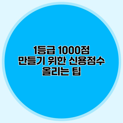 1등급 1000점 만들기 위한 신용점수 올리는 팁