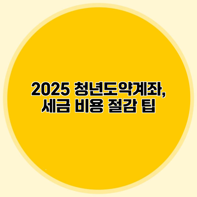 2025 청년도약계좌, 세금 비용 절감 팁