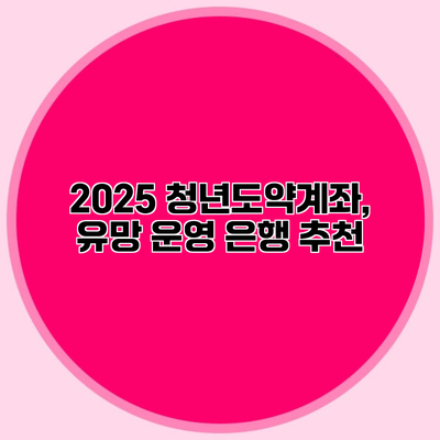 2025 청년도약계좌, 유망 운영 은행 추천