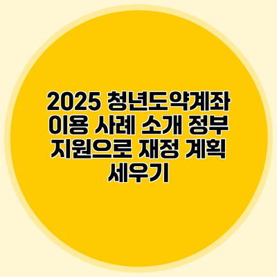 2025 청년도약계좌 이용 사례 소개 정부 지원으로 재정 계획 세우기