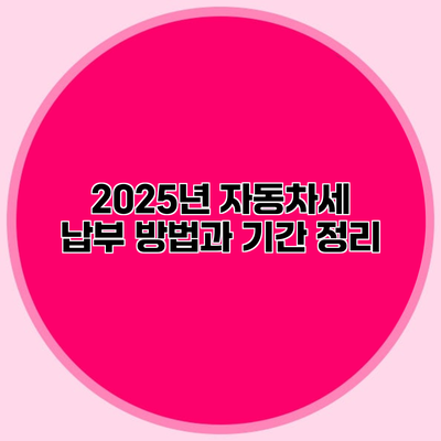 2025년 자동차세 납부 방법과 기간 정리