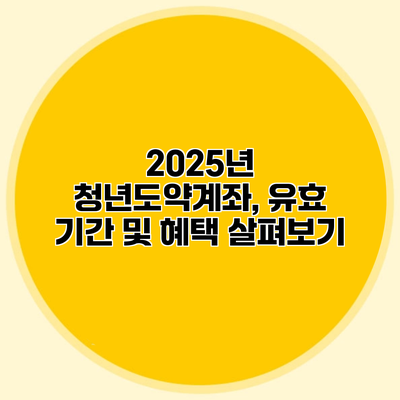 2025년 청년도약계좌, 유효 기간 및 혜택 살펴보기