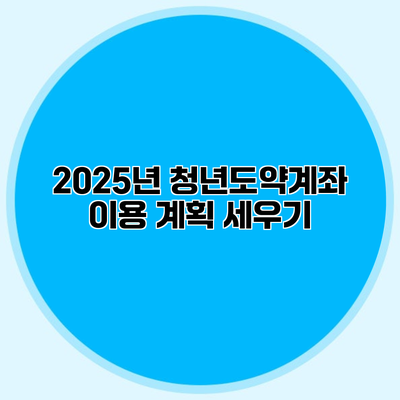 2025년 청년도약계좌 이용 계획 세우기