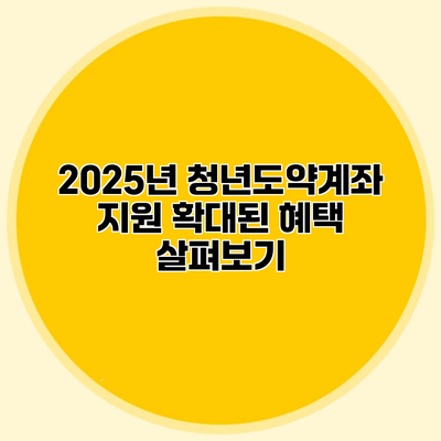 2025년 청년도약계좌 지원 확대된 혜택 살펴보기