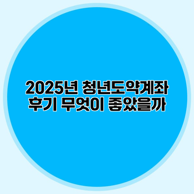 2025년 청년도약계좌 후기 무엇이 좋았을까?