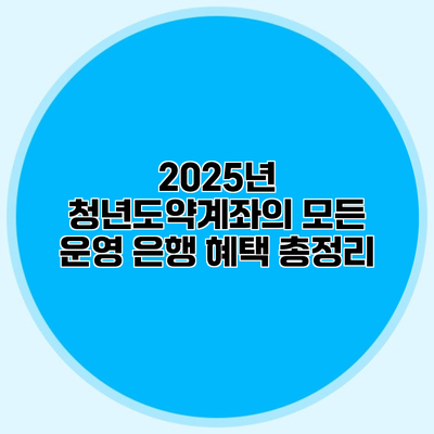 2025년 청년도약계좌의 모든 운영 은행 혜택 총정리