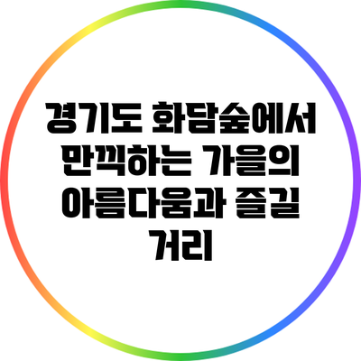 경기도 화담숲에서 만끽하는 가을의 아름다움과 즐길 거리