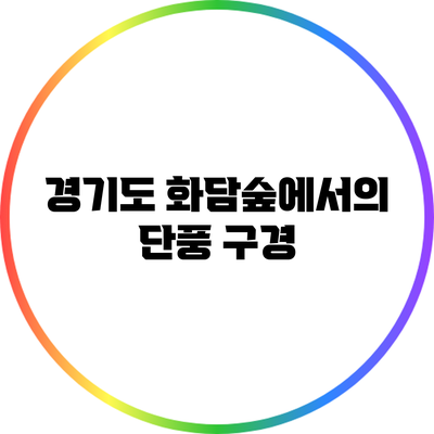 경기도 화담숲에서의 단풍 구경