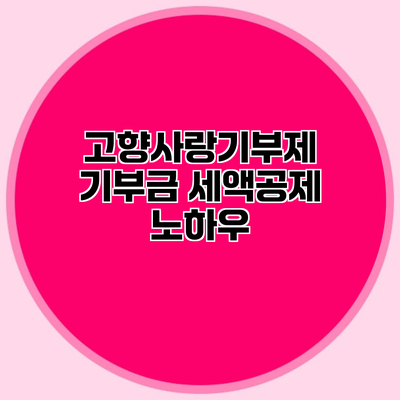 고향사랑기부제 기부금 세액공제 노하우