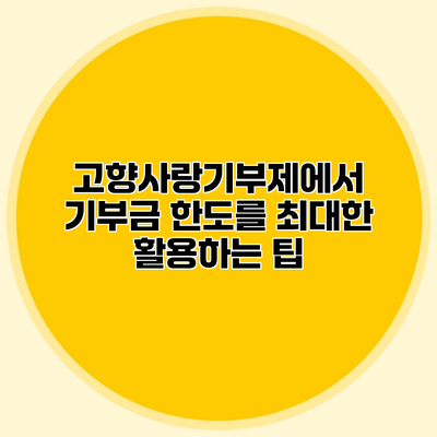 고향사랑기부제에서 기부금 한도를 최대한 활용하는 팁