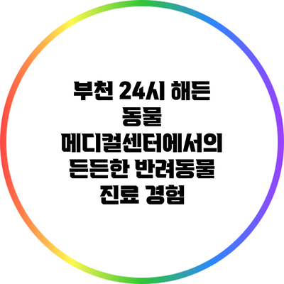 부천 24시 해든 동물 메디컬센터에서의 든든한 반려동물 진료 경험