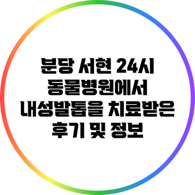 분당 서현 24시 동물병원에서 내성발톱을 치료받은 후기 및 정보