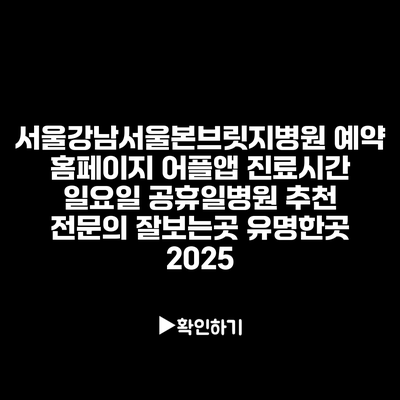 서울강남서울본브릿지병원 예약 홈페이지 어플앱 진료시간 일요일 공휴일병원 추천 전문의 잘보는곳 유명한곳 2025