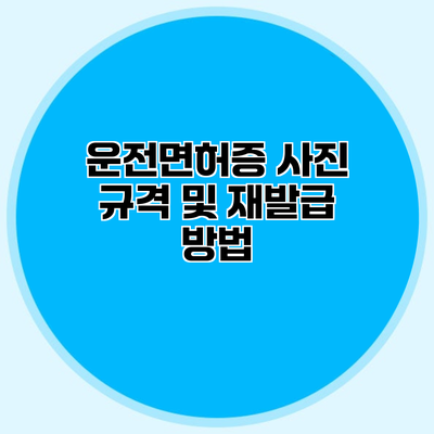 운전면허증 사진 규격 및 재발급 방법