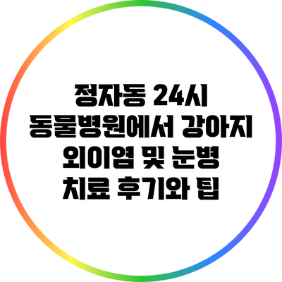 정자동 24시 동물병원에서 강아지 외이염 및 눈병 치료 후기와 팁