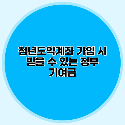 청년도약계좌 가입 시 받을 수 있는 정부 기여금