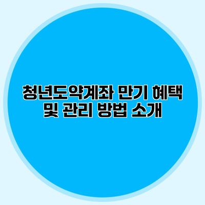 청년도약계좌 만기 혜택 및 관리 방법 소개