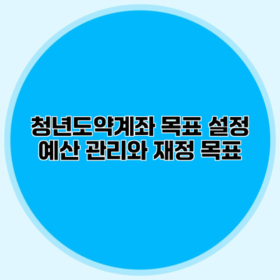 청년도약계좌 목표 설정 예산 관리와 재정 목표