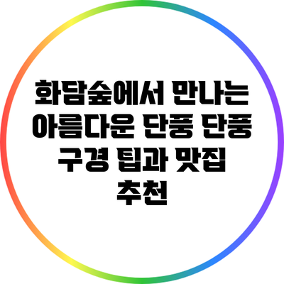 화담숲에서 만나는 아름다운 단풍: 단풍 구경 팁과 맛집 추천