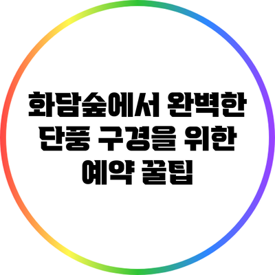 화담숲에서 완벽한 단풍 구경을 위한 예약 꿀팁