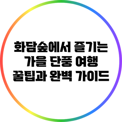 화담숲에서 즐기는 가을 단풍 여행 꿀팁과 완벽 가이드