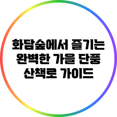 화담숲에서 즐기는 완벽한 가을 단풍 산책로 가이드