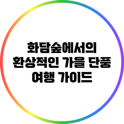 화담숲에서의 환상적인 가을 단풍 여행 가이드