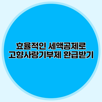 효율적인 세액공제로 고향사랑기부제 환급받기