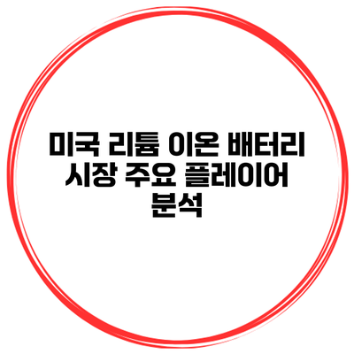 미국 리튬 이온 배터리 시장 주요 플레이어 분석