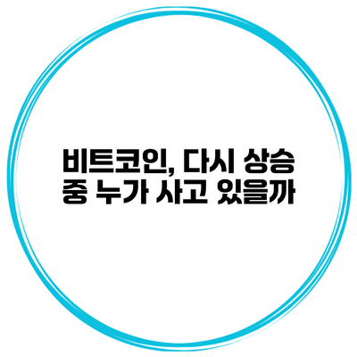 비트코인, 다시 상승 중 누가 사고 있을까?