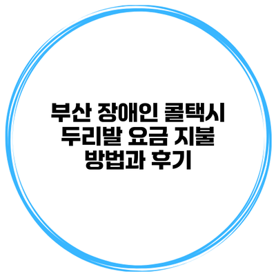 부산 장애인 콜택시 두리발 요금 지불 방법과 후기