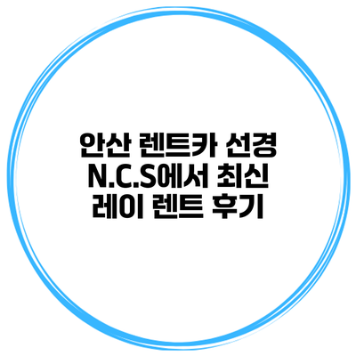 안산 렌트카 선경 N.C.S에서 최신 레이 렌트 후기