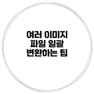 여러 이미지 파일 일괄 변환하는 팁